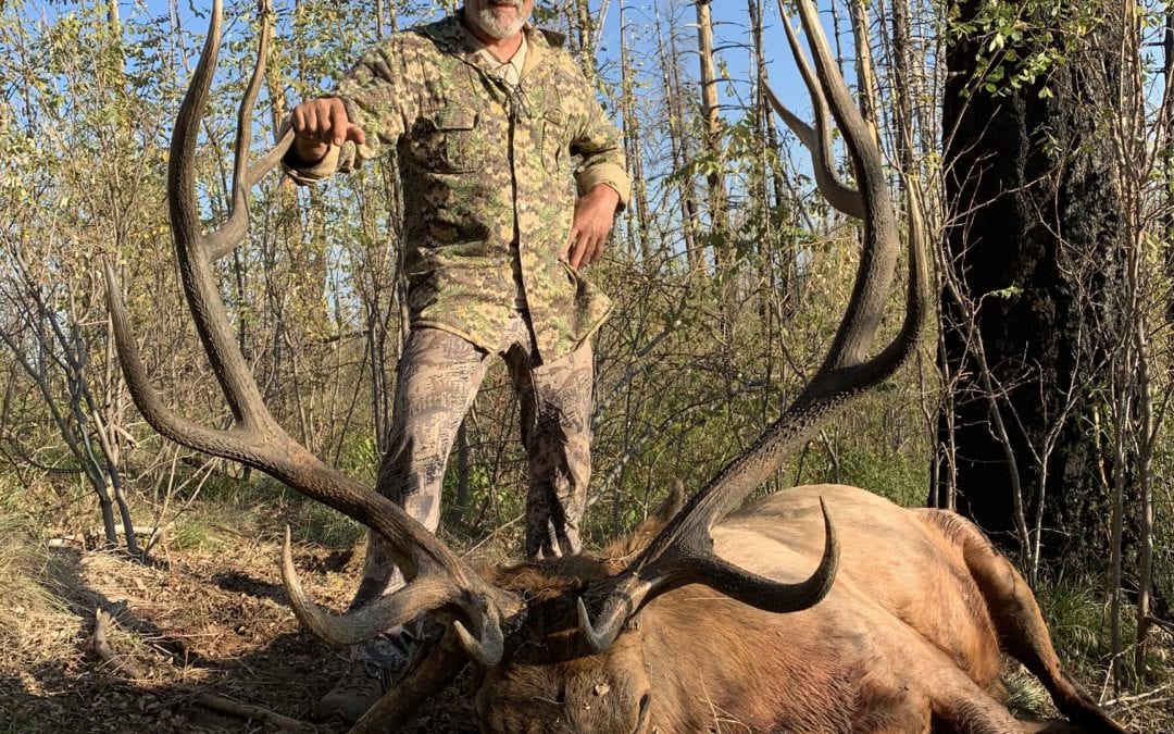 Pending New World Record Elk Taken In Arizona