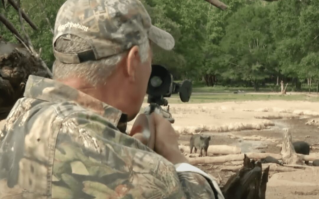 Big Bore 50 caliber air rifle hunt for hogs just north of Houston, Texas.