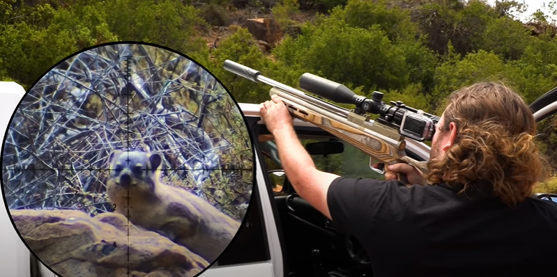 Hyrax & Goose Hunt with PCP Airguns