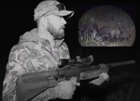 Giant Wild BOAR Hog Night Hunt Umarex Hammer: Real Air Gun Hunting