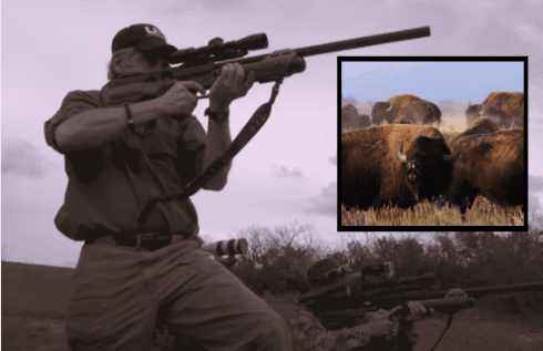 The First Time Ever: American Bison Harvested with a Factory Air Gun.