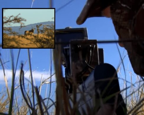 Benjamin Bulldog Big Bore Air Rifle Hunting in South Africa: Oryx