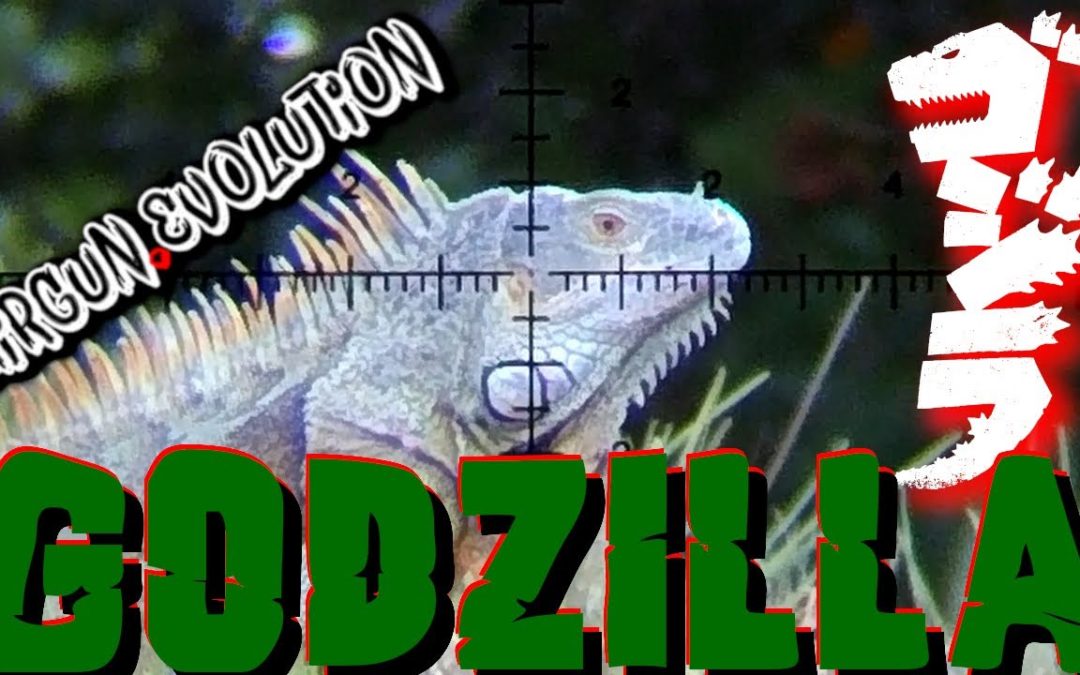 MONSTER Iguanas Everywhere | Hunting GODZILLA | Airgun Evolution