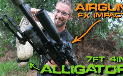 Airgun ALLIGATOR Hunt | FX Impact .30 Cal | Airgun Evolution