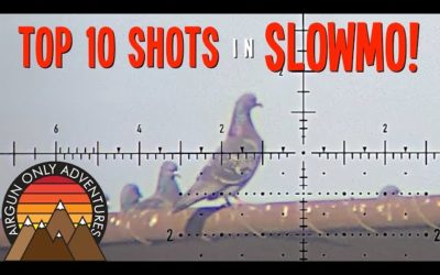 10 Bird Hunt Shots in Slow Motion